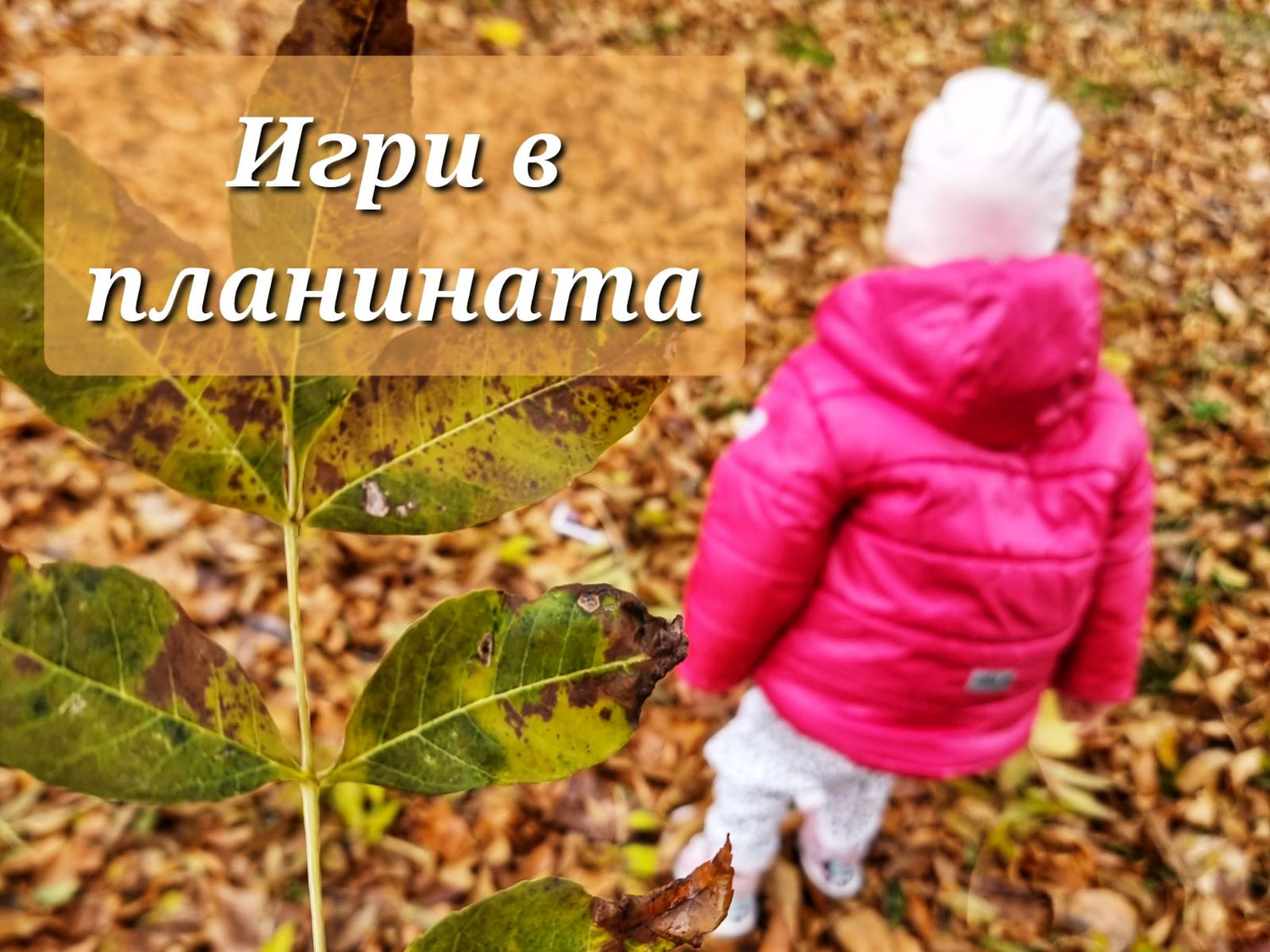 игри в планината