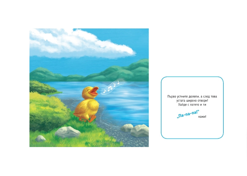 Артикулационни карти